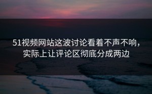 51视频网站这波讨论看着不声不响，实际上让评论区彻底分成两边