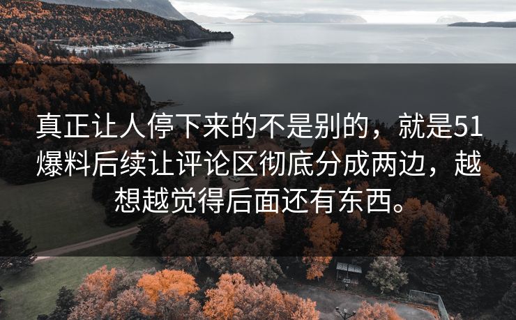 真正让人停下来的不是别的，就是51爆料后续让评论区彻底分成两边，越想越觉得后面还有东西。